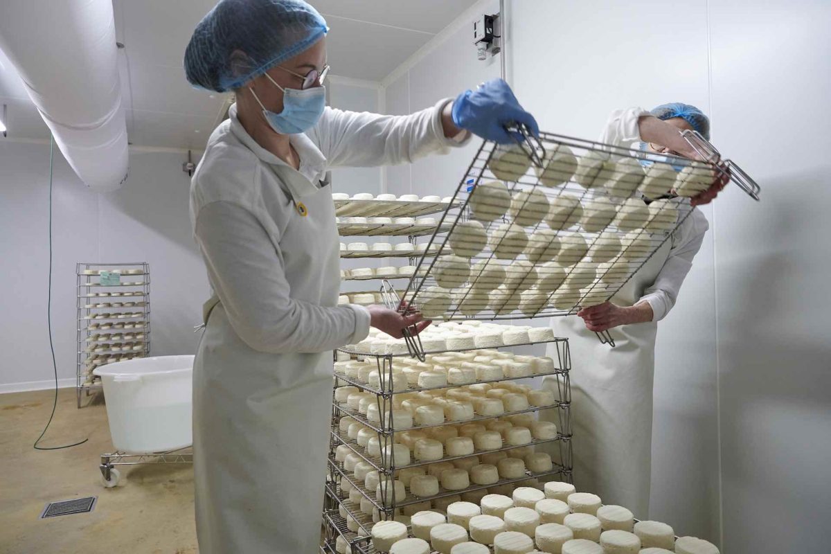 entreprise familiale fromagerie d'arvor