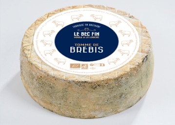 tomme lait de brebis